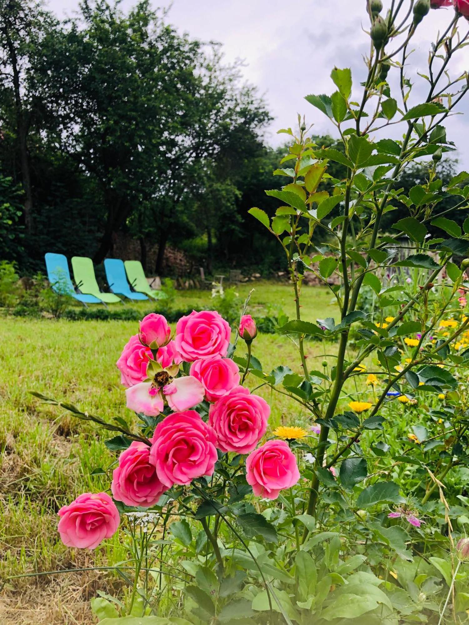 Saschiz 175 Guesthouse Esterno foto